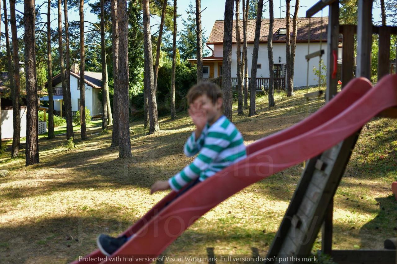 Orlik